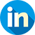 LinkedIn  Icon